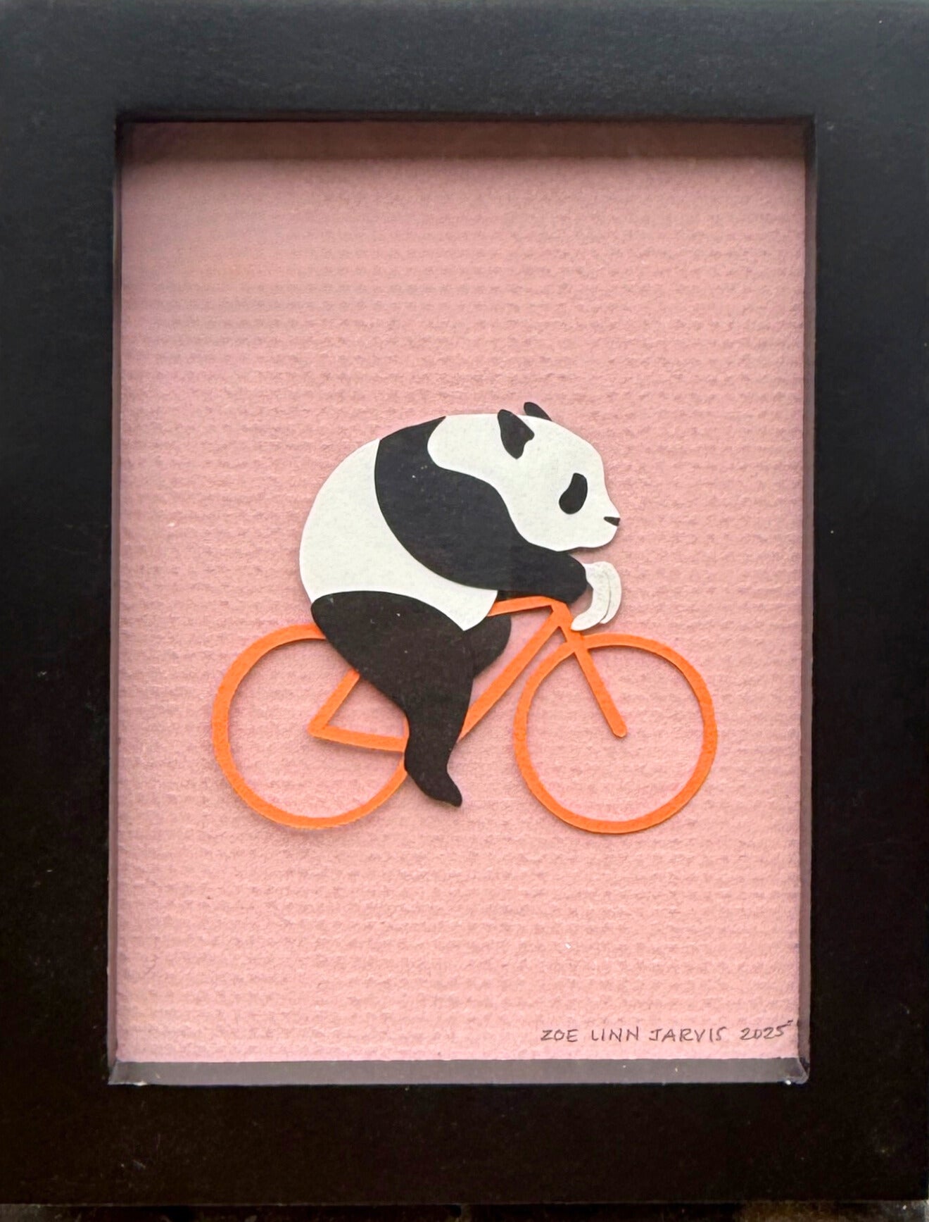 Panda on Bicycle