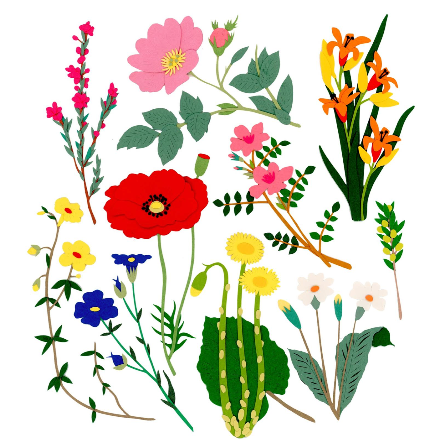Wildflower Greeting Card