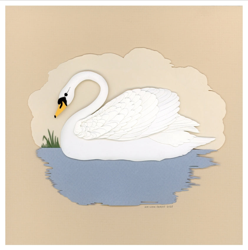 Swan Lullaby Print
