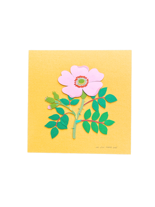 Wild Rose - Unframed