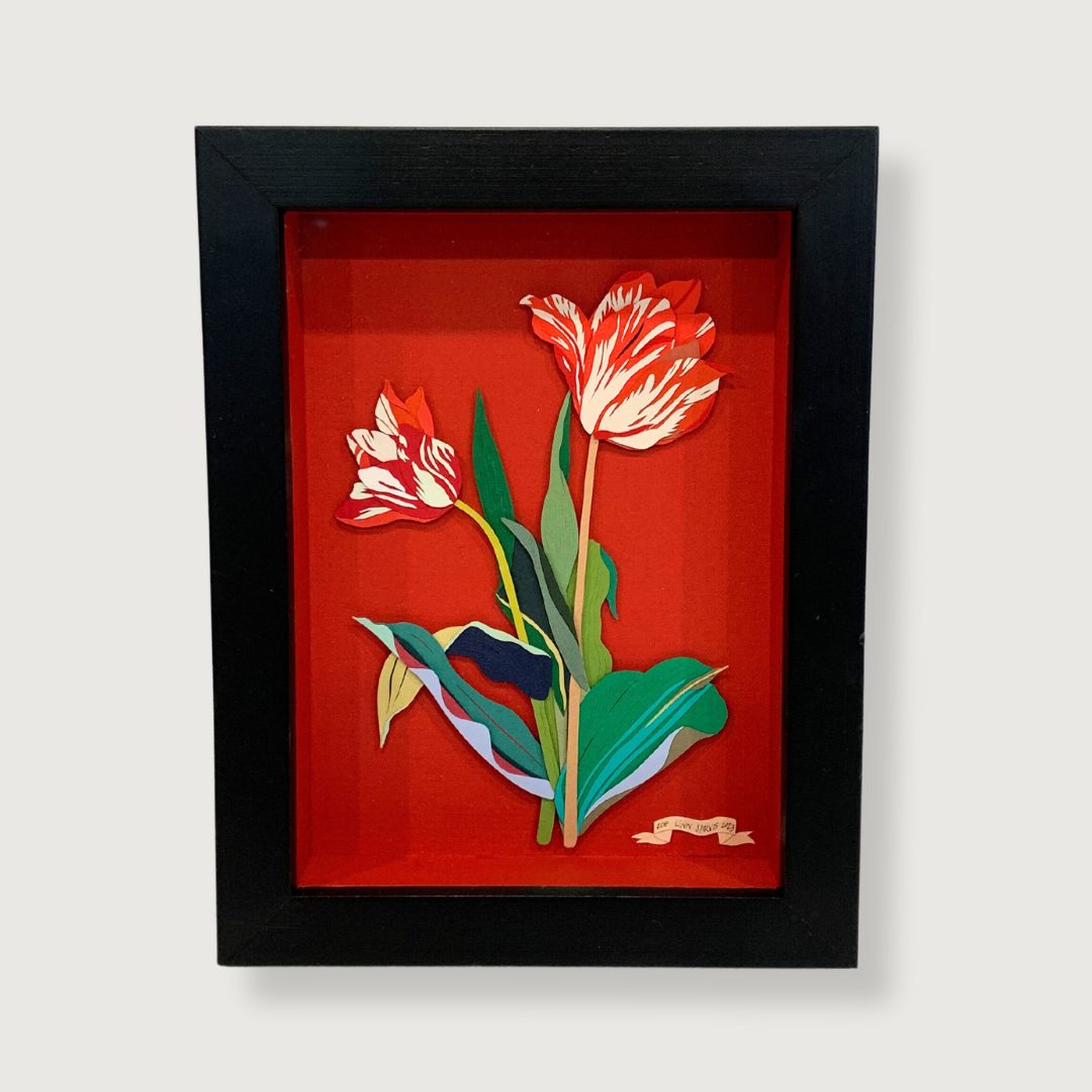 Red Tulip