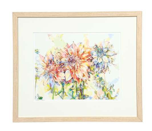 Dahlias in Pastels - Framed