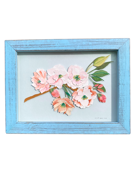 Cherry Blossoms