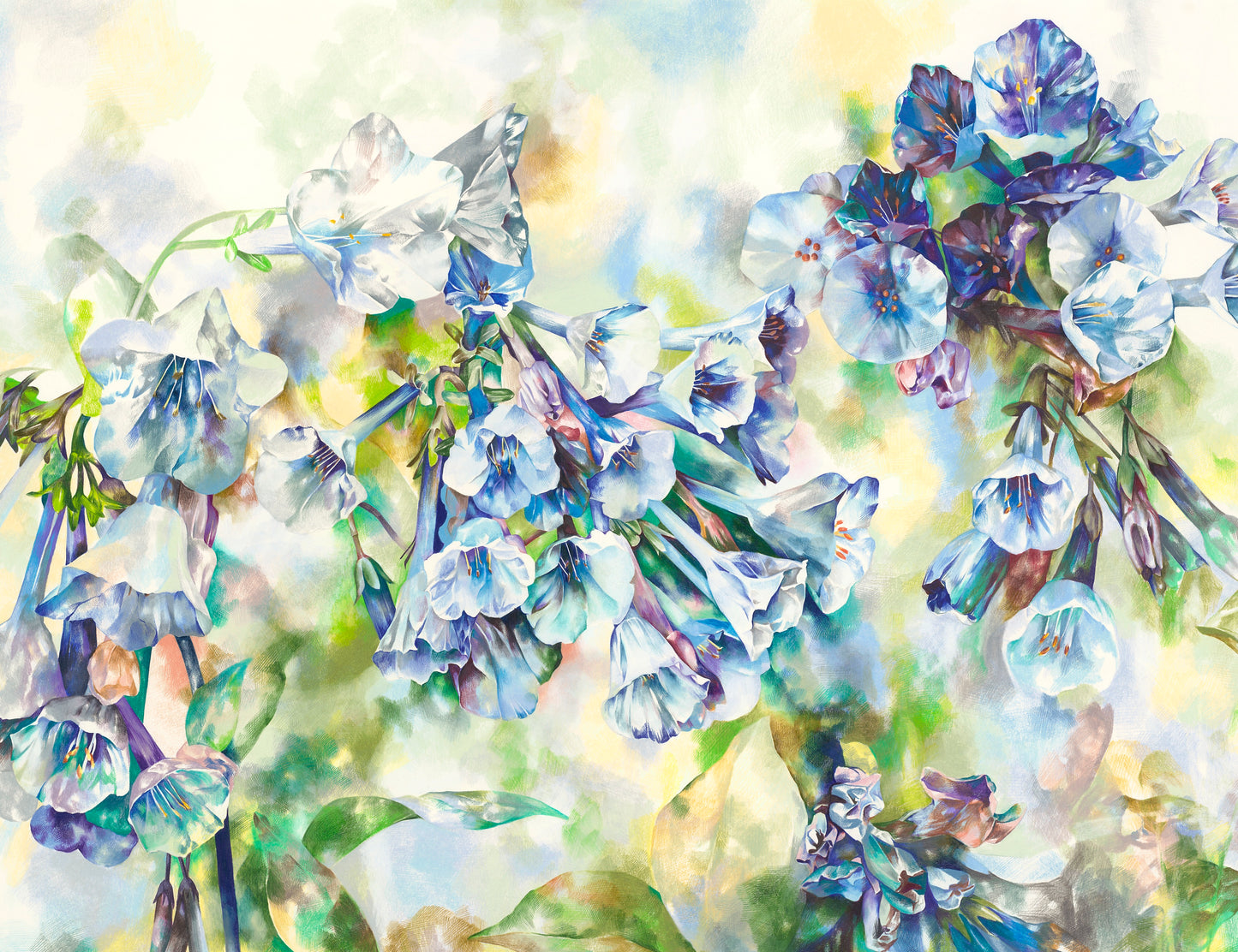 Virginia Blue Bells Print, 11x14"