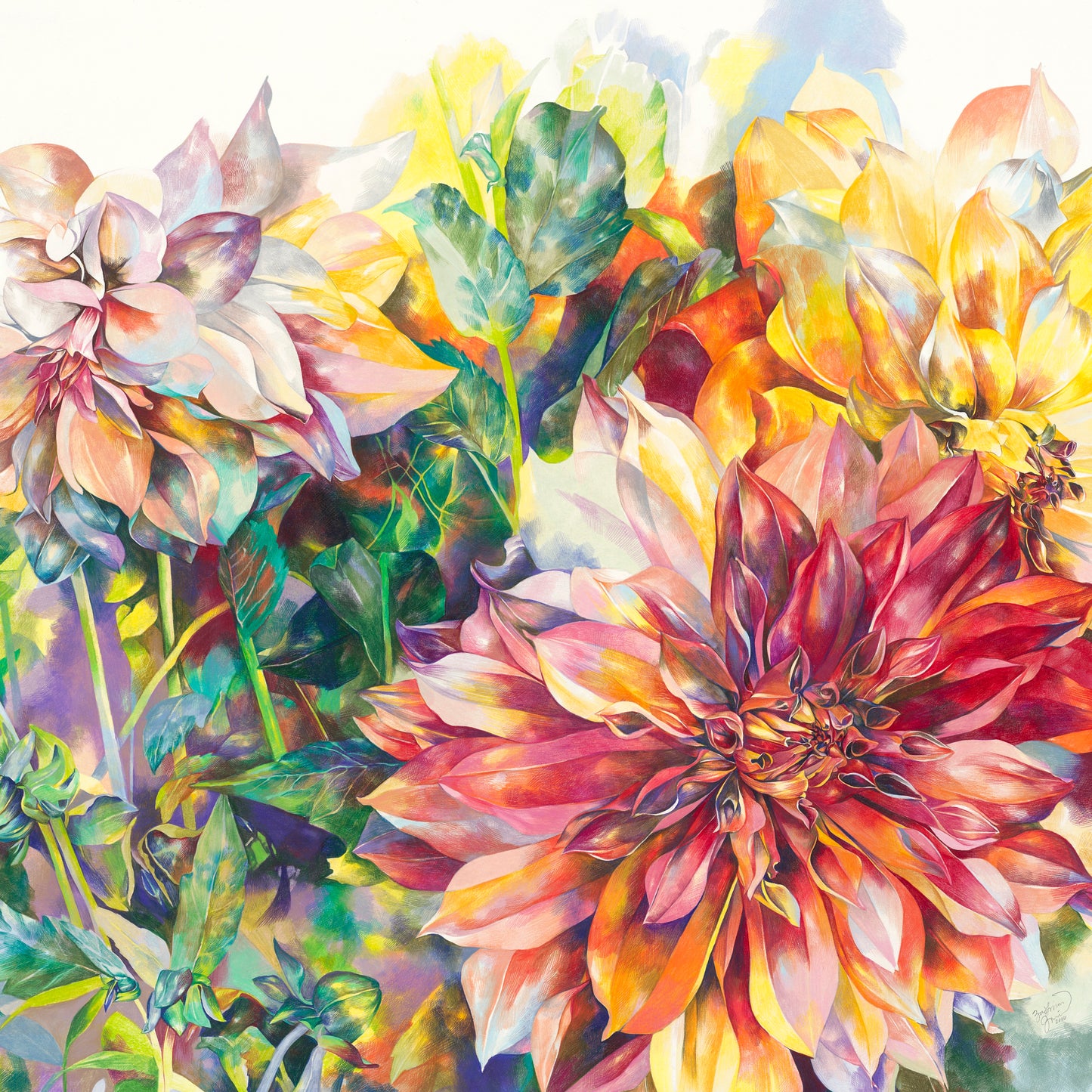 Three Dahlias Print, 14x14"